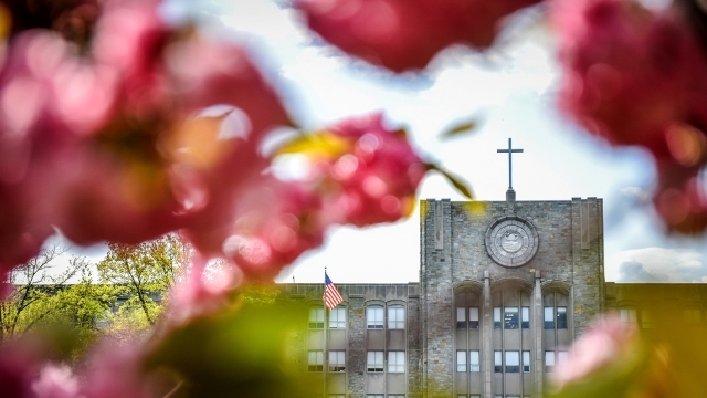 St. Augustine through flowers
