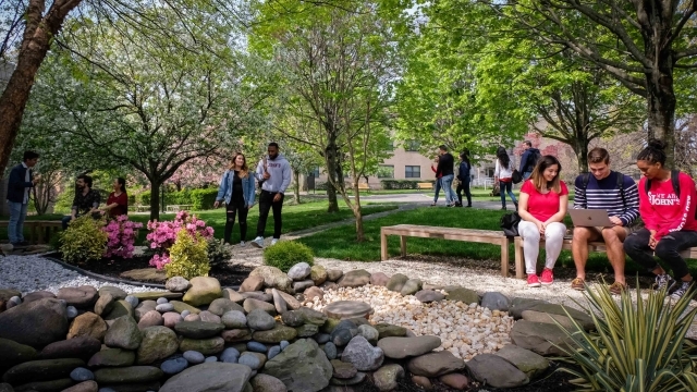 Students talking and walking together on campus